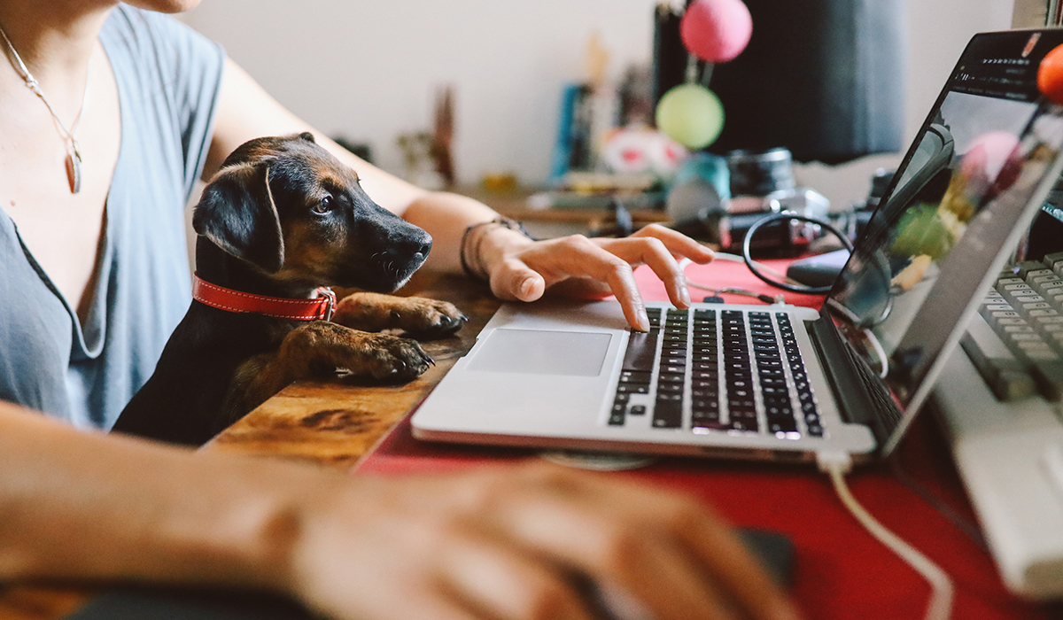 Key tools for remote working